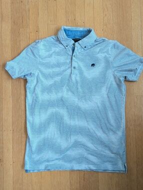 Banana Republic Light Blue Mini-Stripe Polo